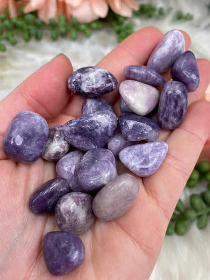 Small-Tumbled-Lepidolite