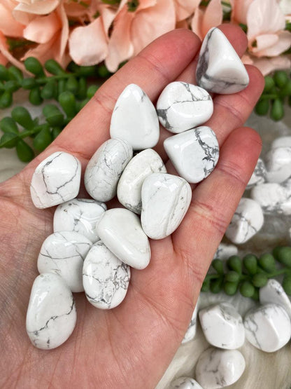 Small-White-Howlite-Tumbles