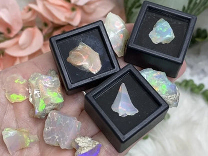 Small black plastic glass window gemstone cabachon display case