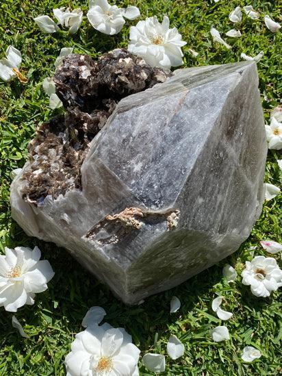 Smoky-Quartz-Mica-Point