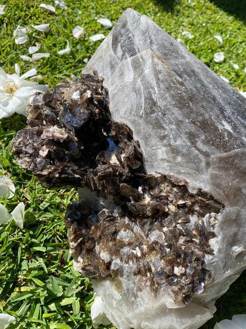 Smoky-Quartz-Over-Mica