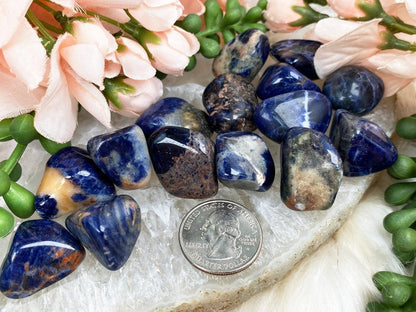 Sodalite-Tumble
