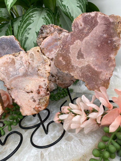 Standing-Pink-Amethysts-on-Black-Stands