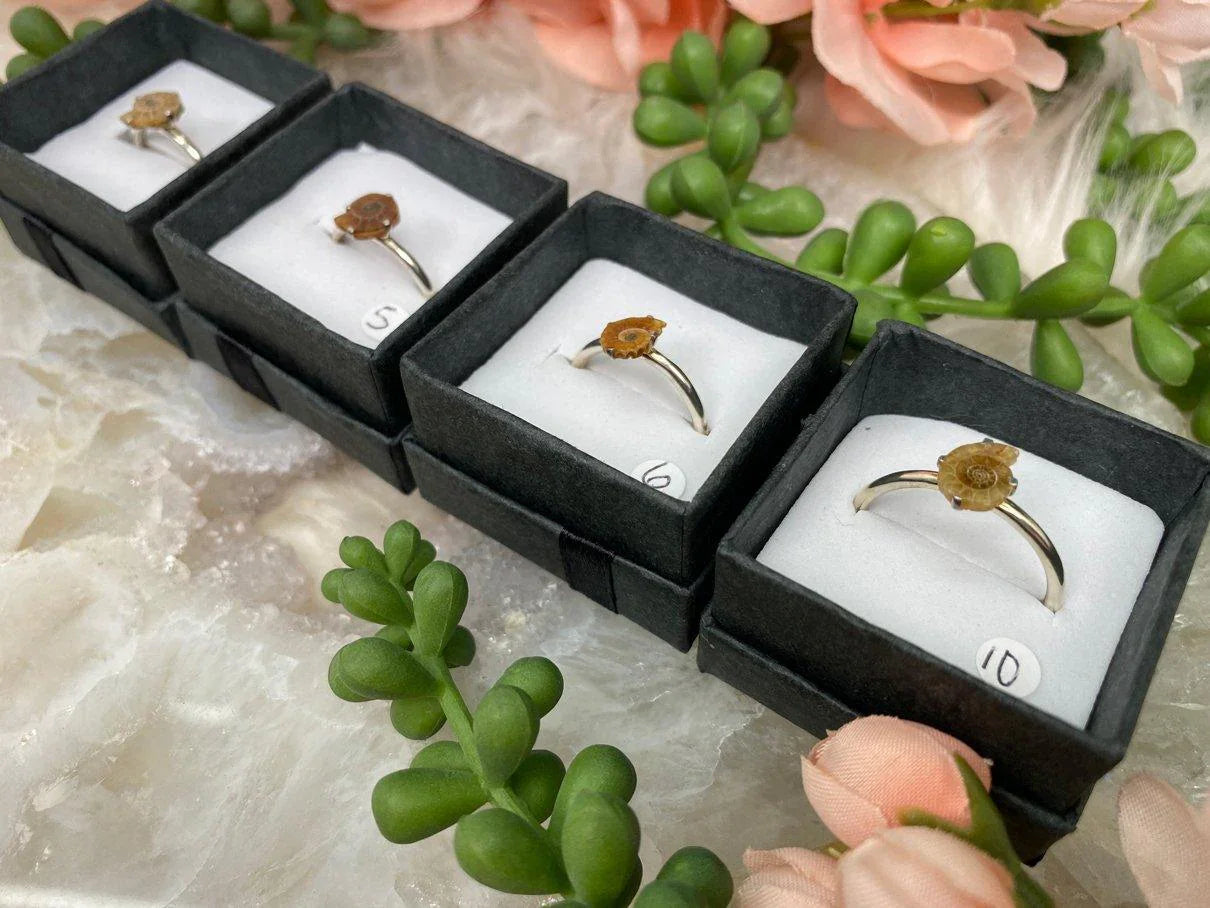 Sterling-Silver-Ammonite-Fossil-Rings-for-Sale