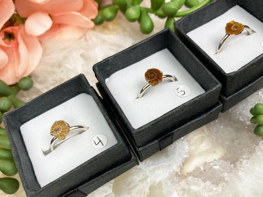 Sterling-Silver-Ammonite-Ring-for-Sale