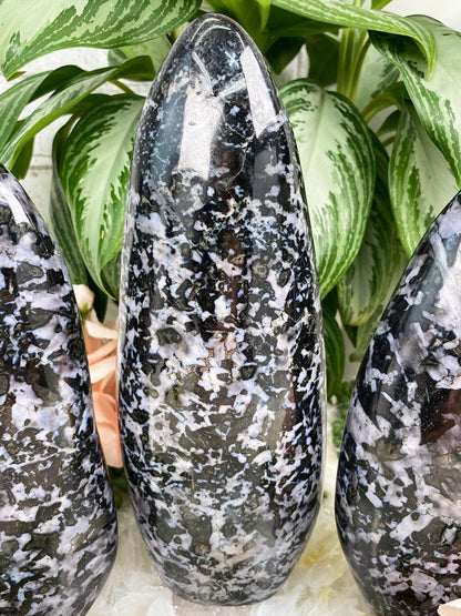 Tall-Indigo-Gabbro-Freeform