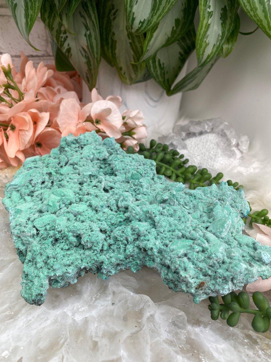 Teal-Kobyashevite-Crystal-Clusters-from-Durango-Mexico