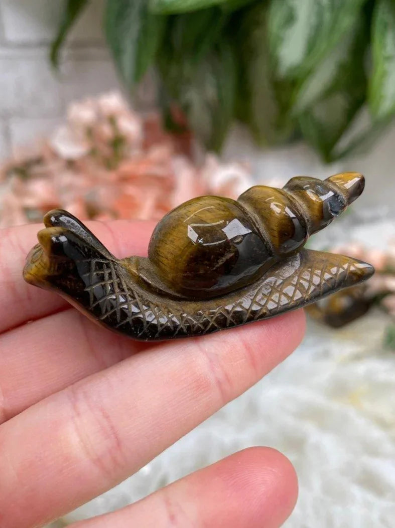Tiger-Eye-Crystal-Snail