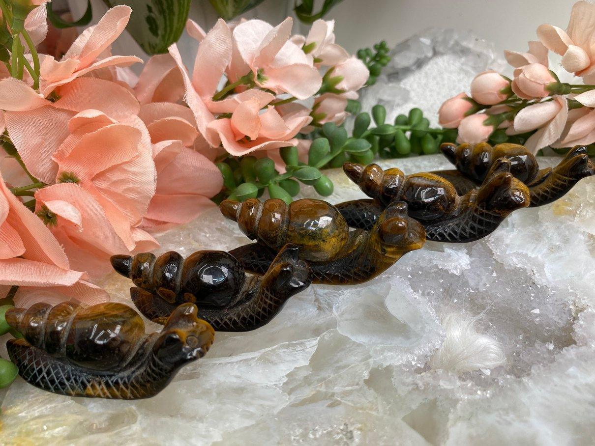 Tiger-Eye-Snail-Crystal-Carvings