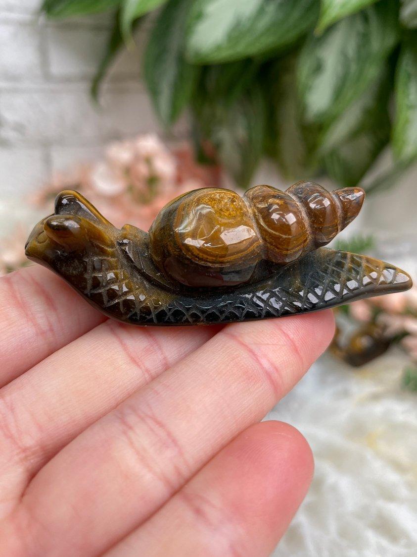 Tiger-Eye-Snail-Crystal