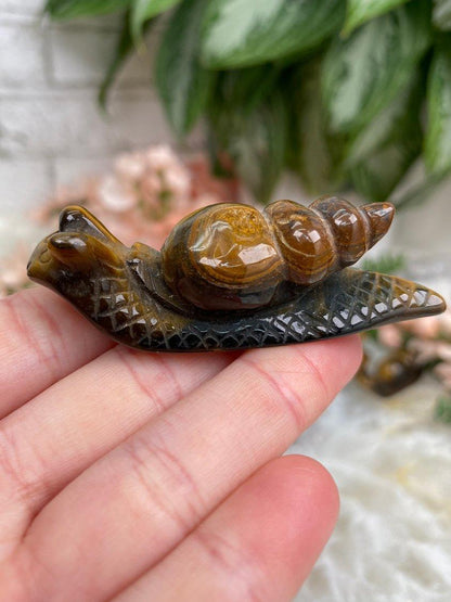 Tiger-Eye-Snail-Crystal