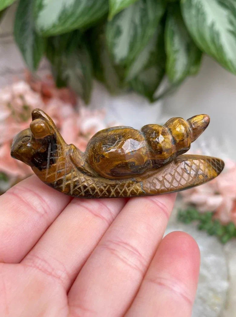 Tigers-Eye-Snail-Crystal-Carving