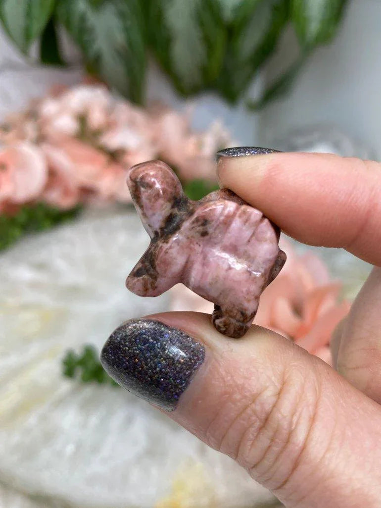 Tiny-Crystal-Dragon-Dino-Carvings