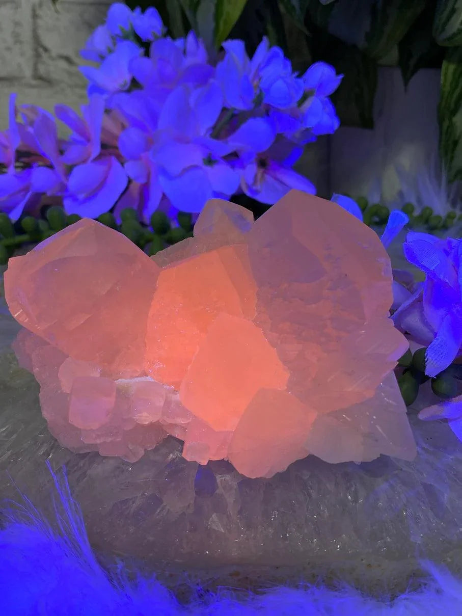 UV-Mangano-Calcite-Glowing