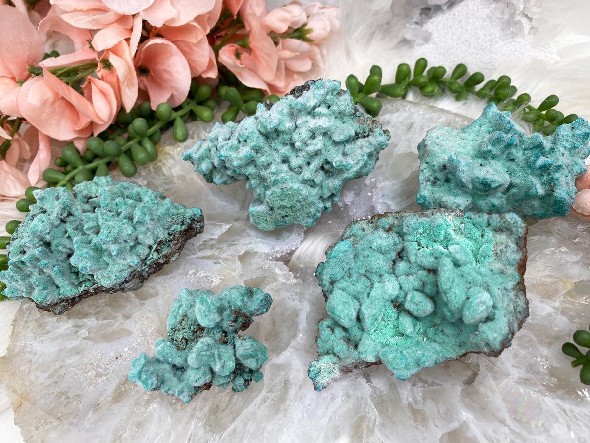 Vibrant-Teal-Blue-Kobyashevite-Crystal-Clusters-Dogtooth