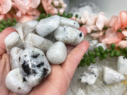 Tumbled-White-Black-Rainbow-Moonstone-Crystal-for-Gridding