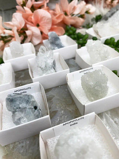 White-Gray-Apophyllite-Crystals