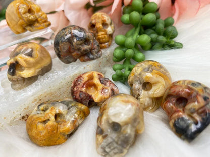 Yellow-Crazy-Lace-Agate-Skulls
