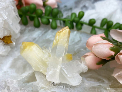 ellow-Halloysite-Clear-Colombian-Mango-Quartz
