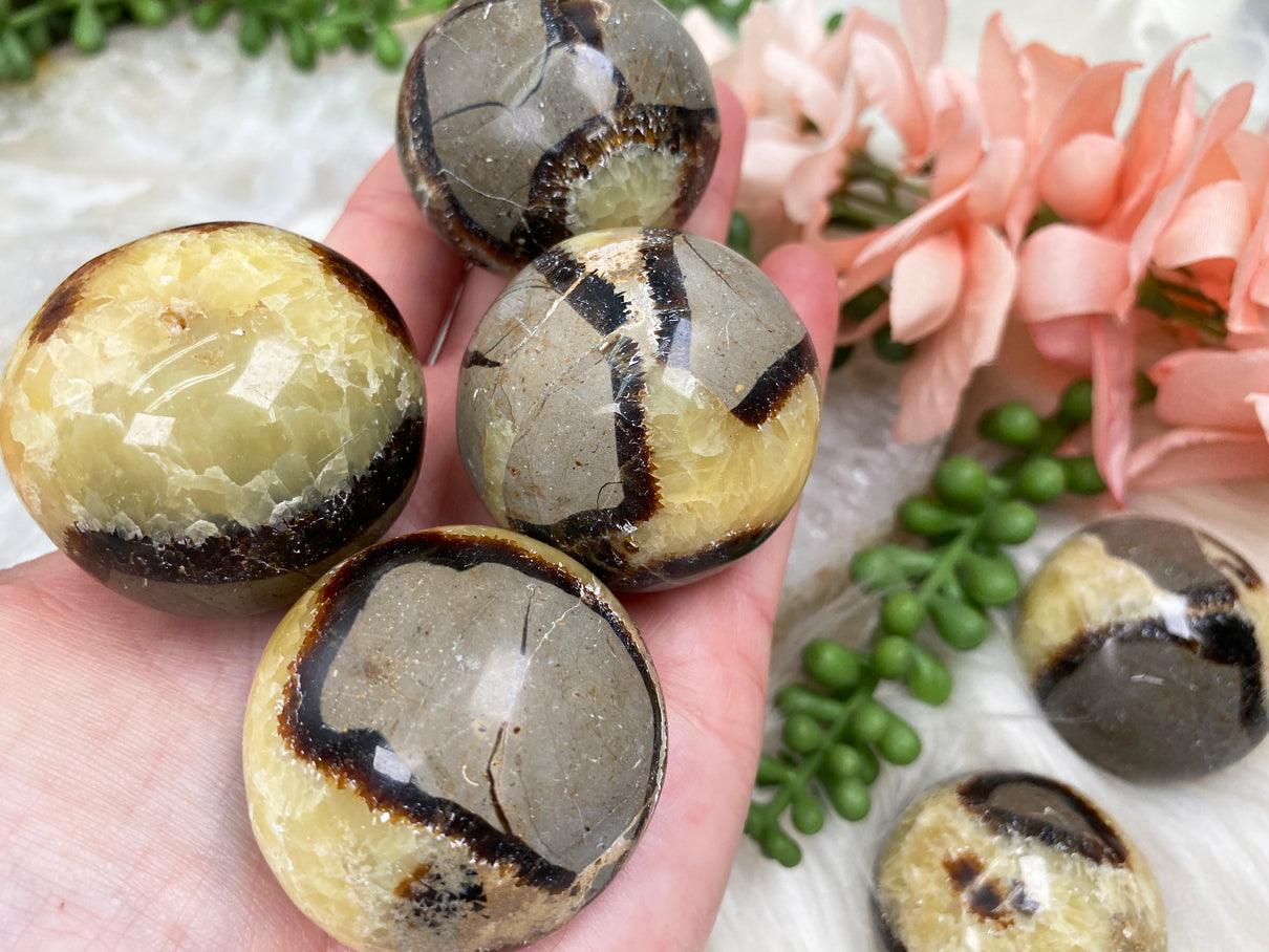 Yellow-Nodule-Septarian-Tumbles