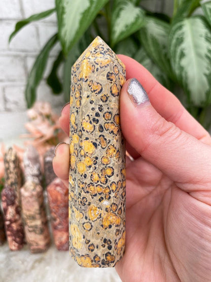 Leopard Jasper Points