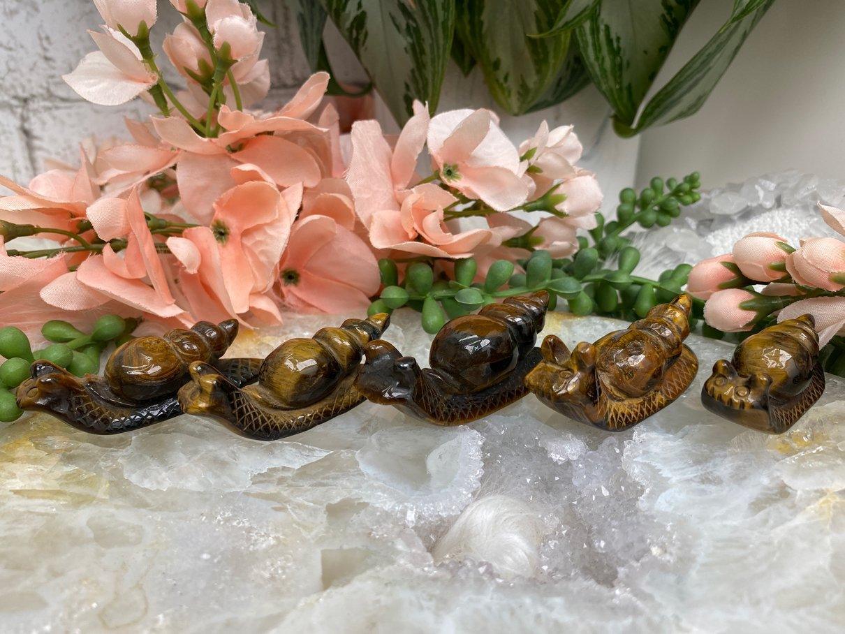 Yellow-Tiger-Eye-Snail-Crystals