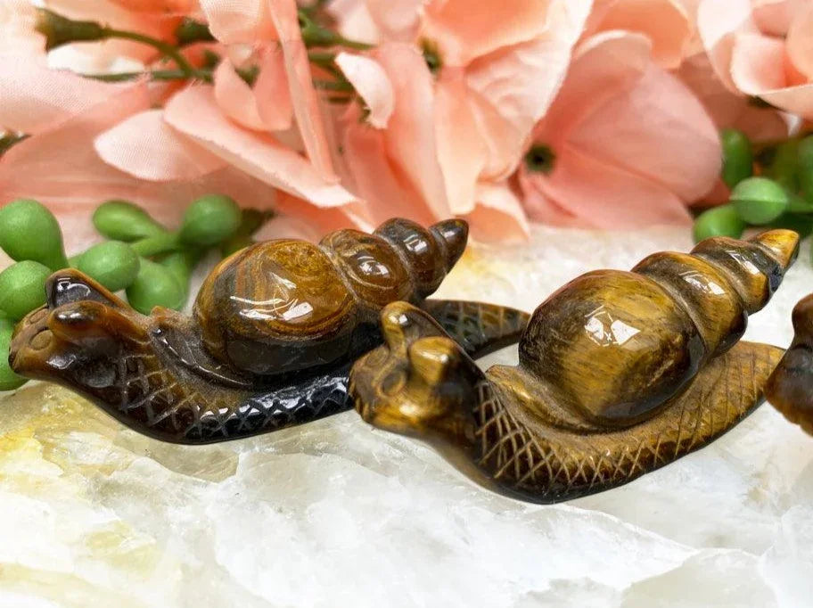 Yellow-Tiger-Eye-Snails-Crystal