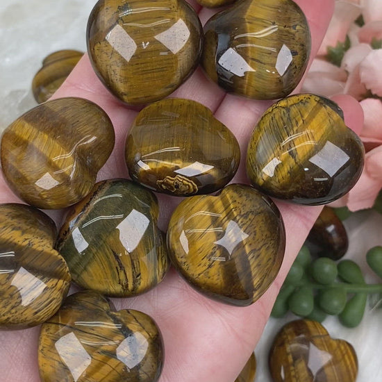 Yellow-Tiger-Eye