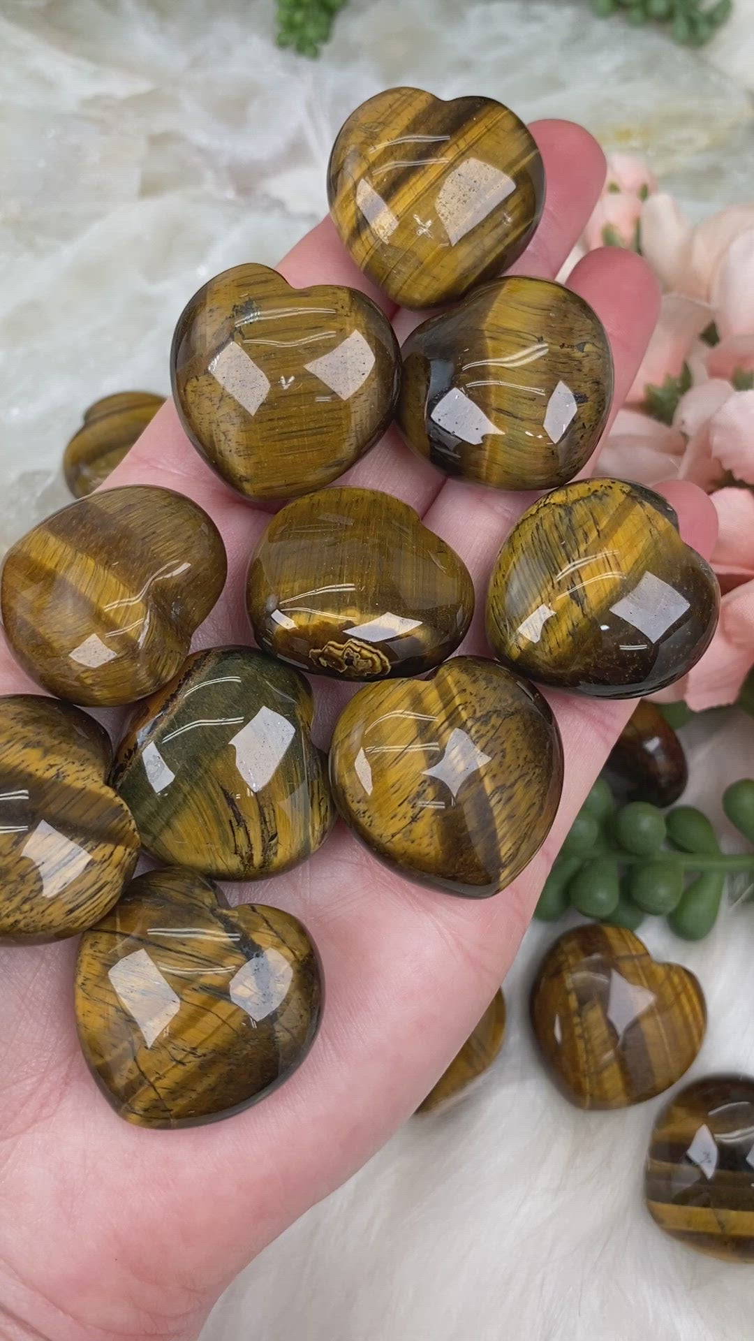 Yellow-Tiger-Eye