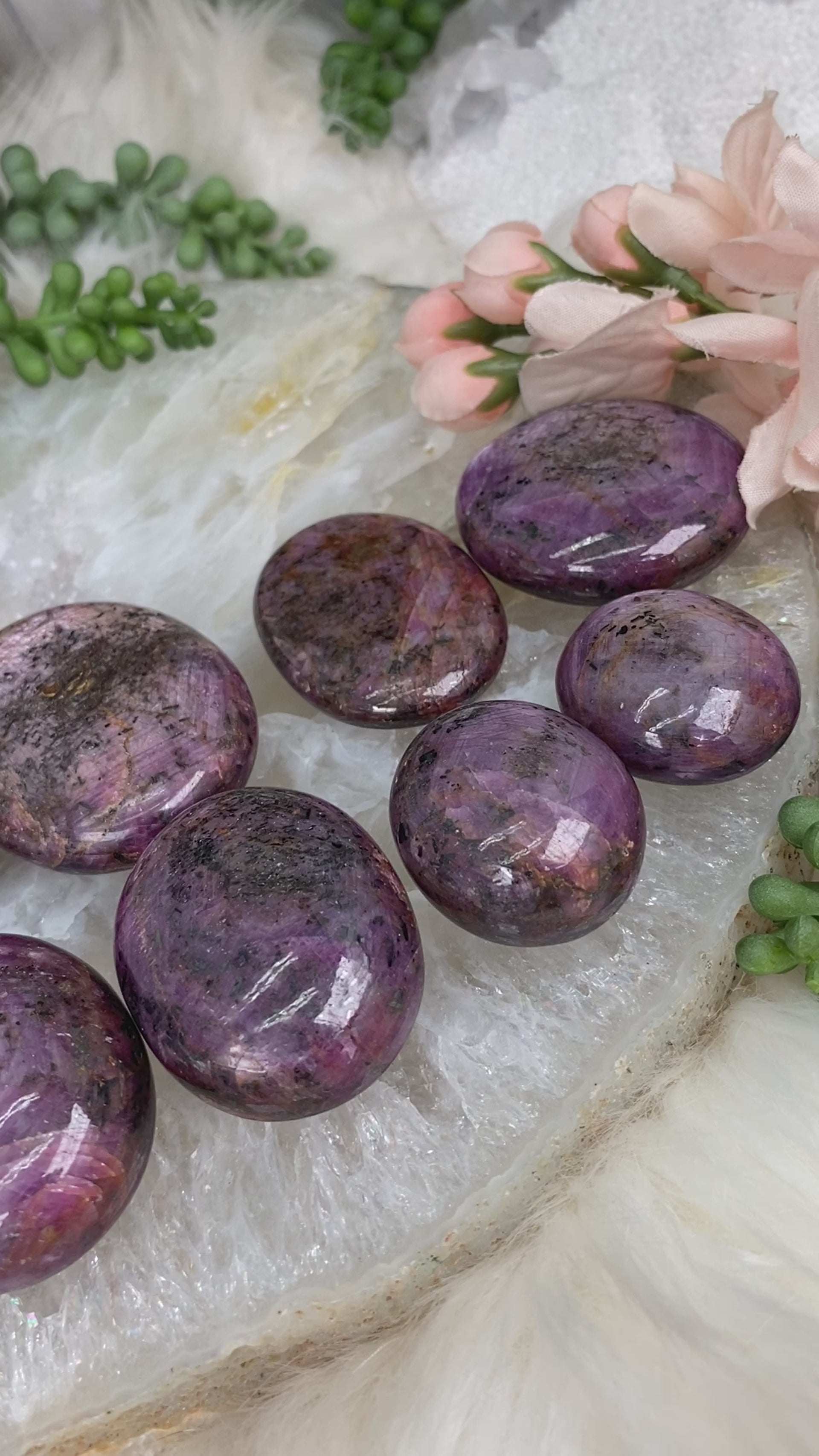 Indian-Star-Rubies-for-Sale-Video