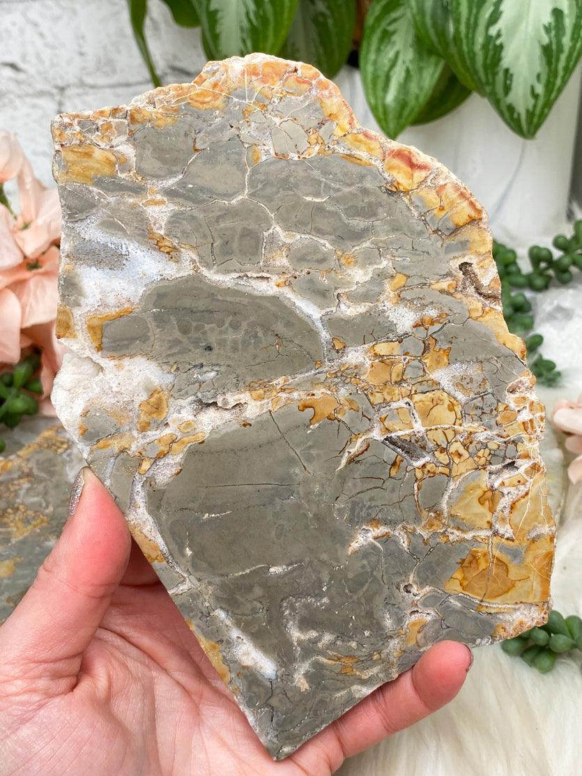 agatized-jasper-slice