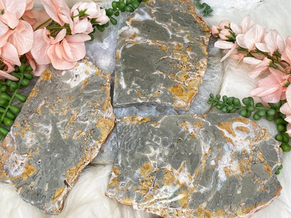 agatized-jasper-slices