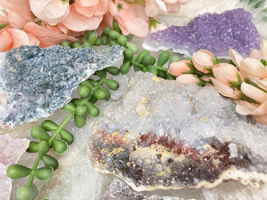    amethyst-flowers-from-brazil