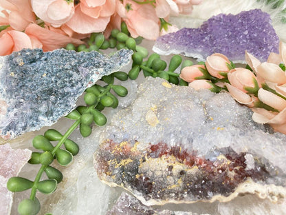    amethyst-flowers-from-brazil