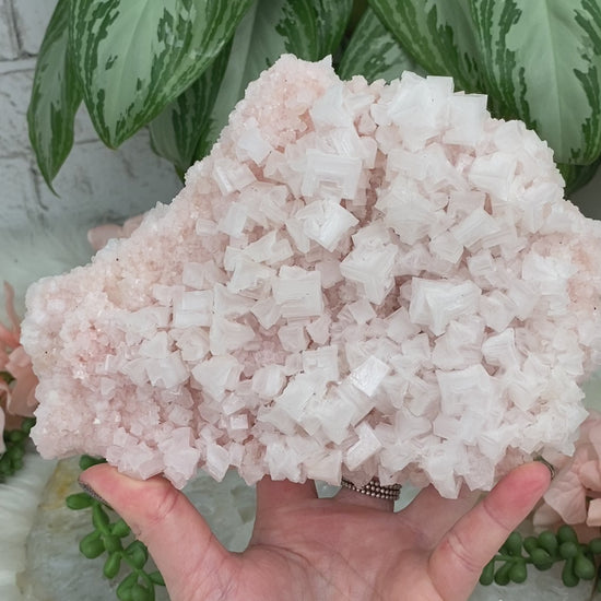 Pink-Halite-Salt