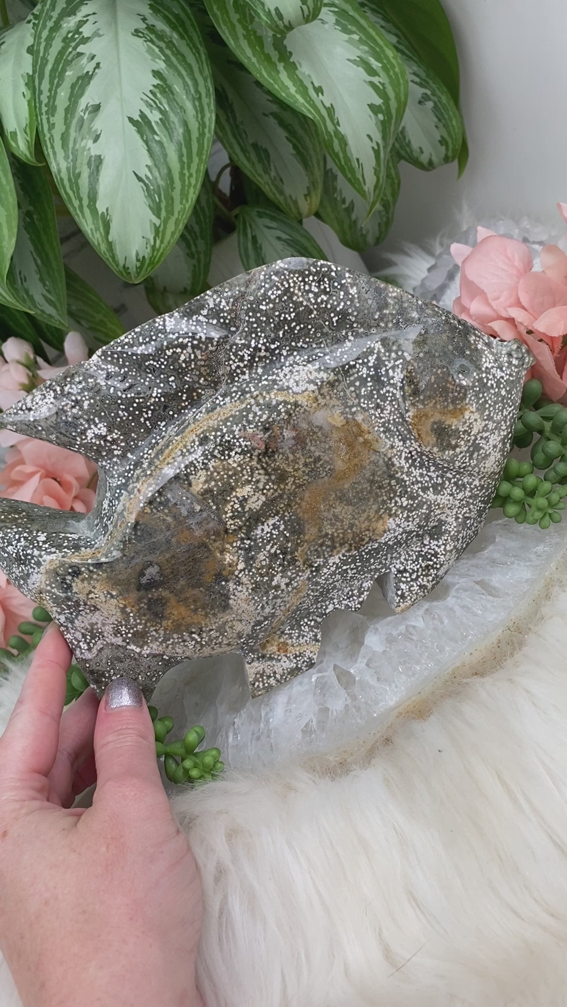 Green-Yellow-Ocean-Jasper-Crystal-Fish-Video