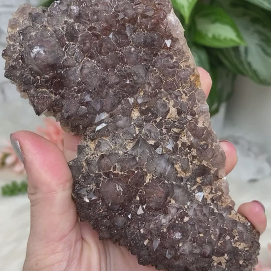 Unique Auralite 23 crystal clusters from Northern Canada. These pieces are beautiful and quite powerful in crystal world. They are mostly made up of amethyst, citrine, and green quartz, but are also mixed with a wide variety of other minerals.