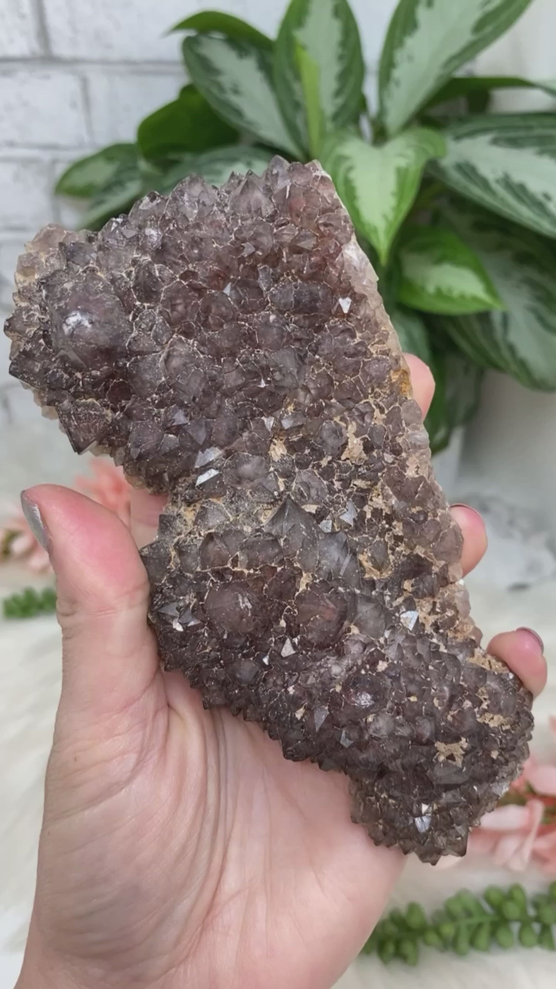 Unique Auralite 23 crystal clusters from Northern Canada. These pieces are beautiful and quite powerful in crystal world. They are mostly made up of amethyst, citrine, and green quartz, but are also mixed with a wide variety of other minerals.