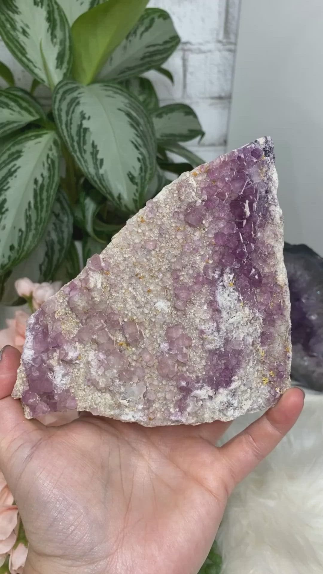 Pink Purple Raw Fluorite Crystal Cluster Video