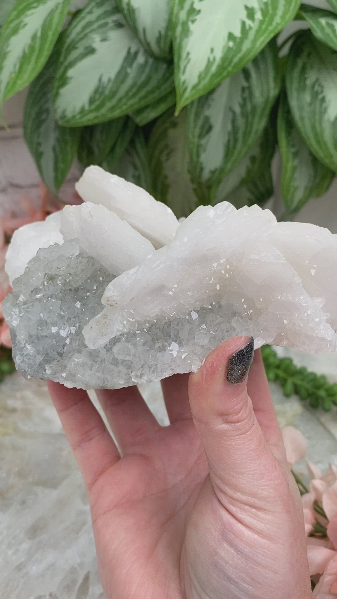Collector-Crystal-Specimen-Bladed-Calcite-Quartz-Specimen-Inner-Mongolia-China-Video