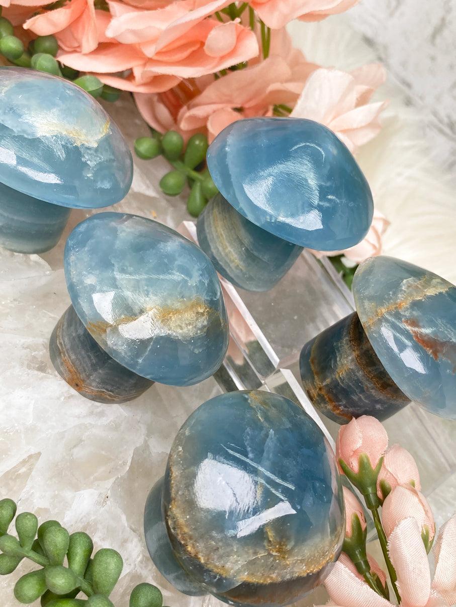 blue-aquatine-mushrooms