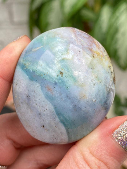 blue-teal-ocean-jasper-palm