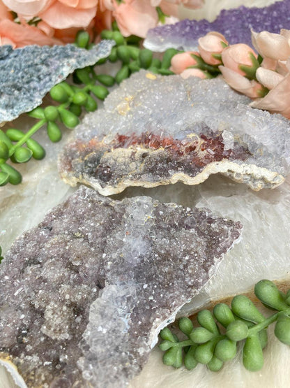 brazil-amethyst-flowers