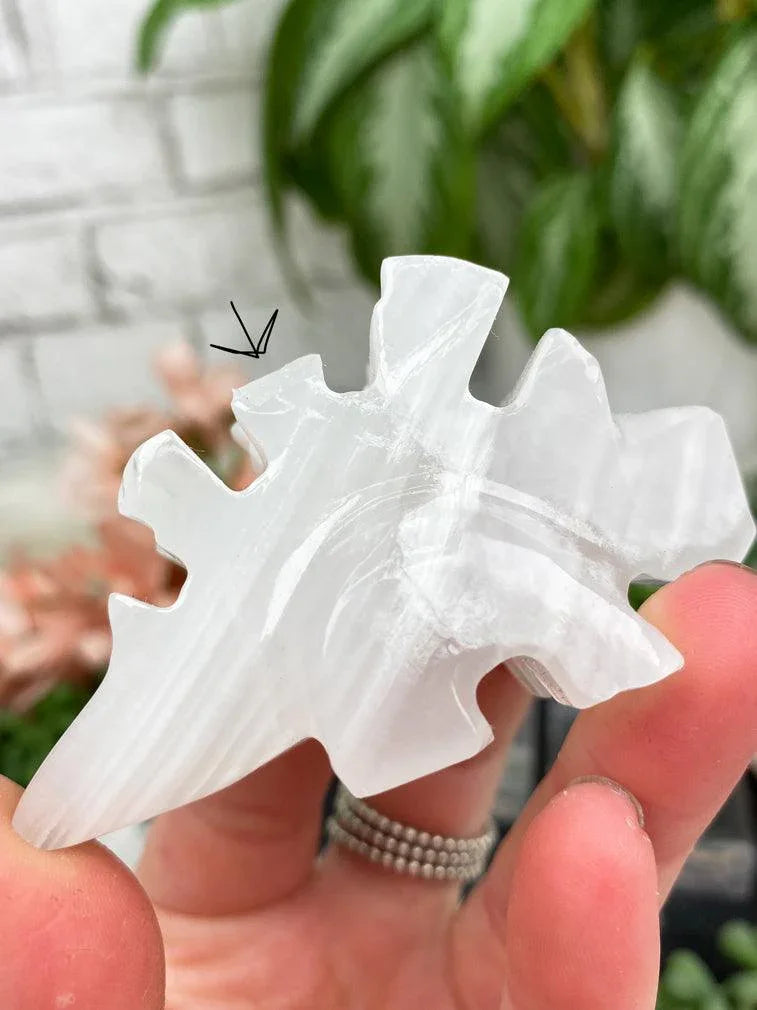 chipped-onyx-stegosaurus