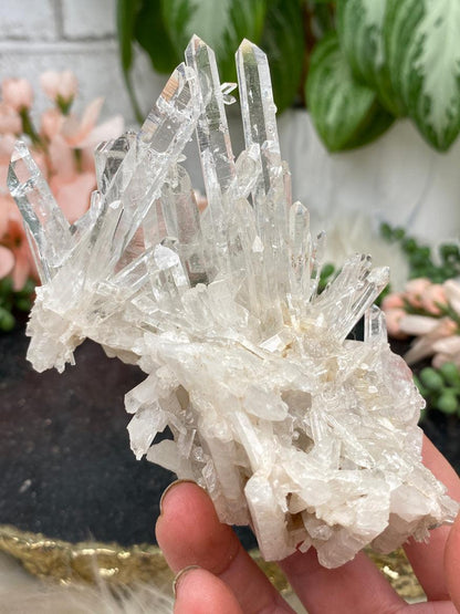 colombian-quartz-cluster