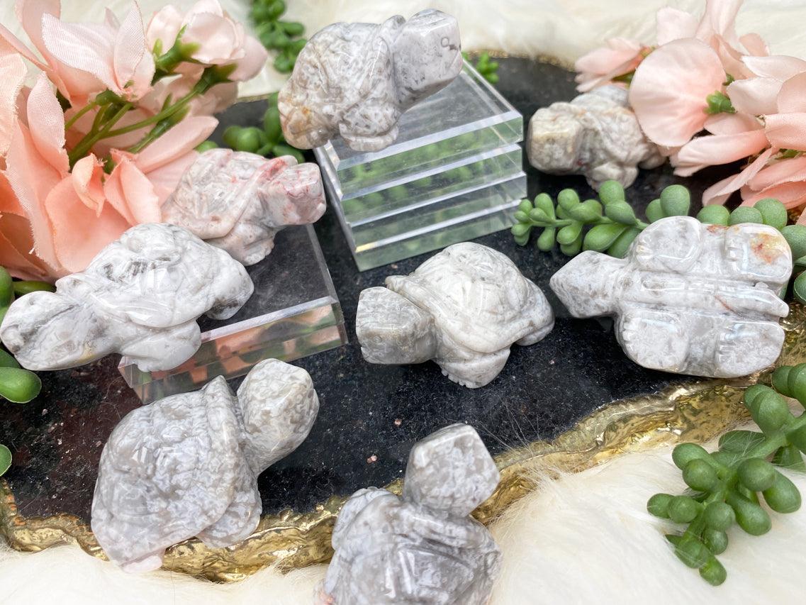 Crazy Lace Agate Turtle