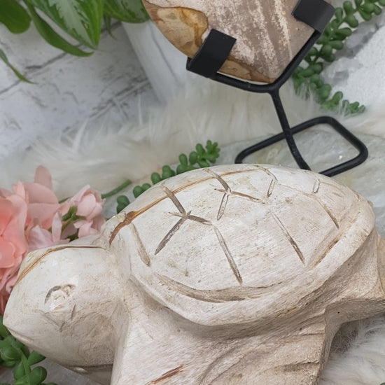 petrified-wood-turtle-heart