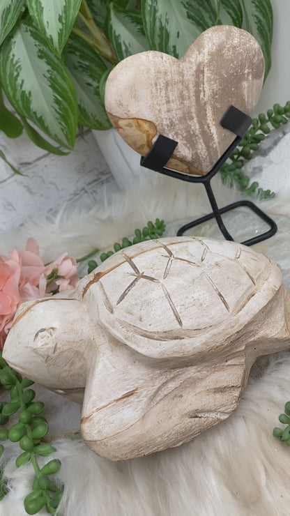 petrified-wood-turtle-heart