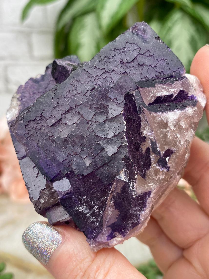 dark-purple-musquiz-fluorite-cluster
