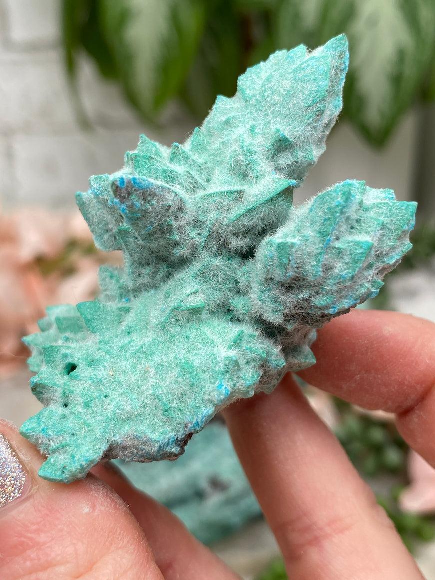 dogtooth-kobyashevite